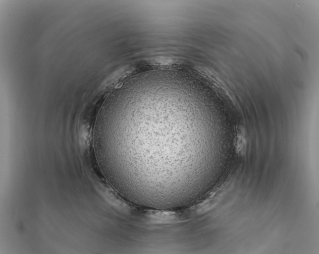 X0000112100476200908181329