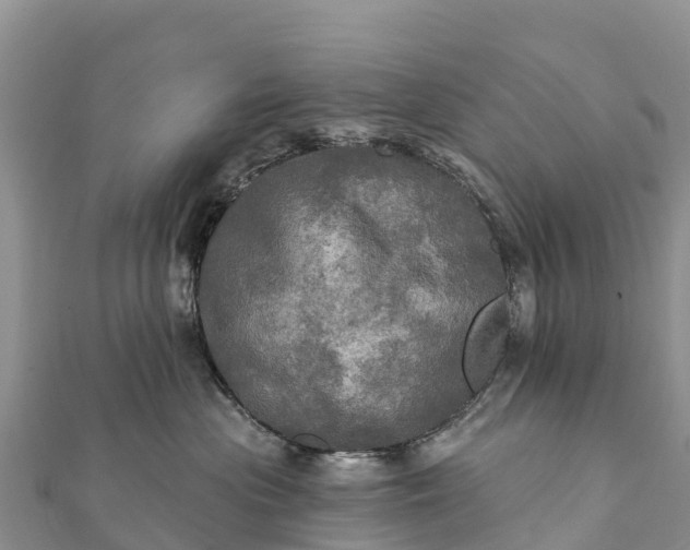 X0000112100477200908181329