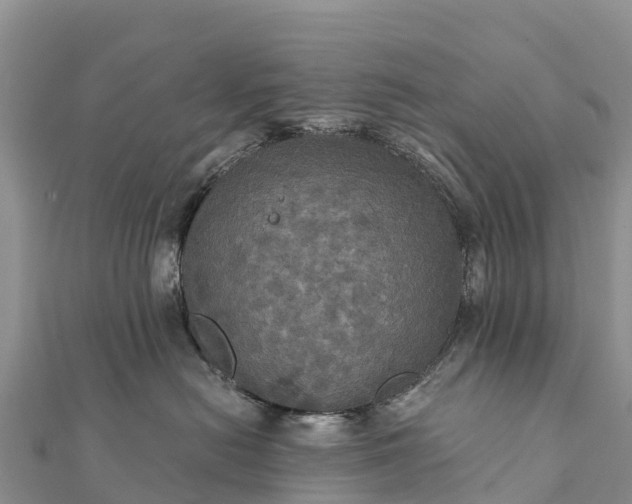 X0000112100478200908181329