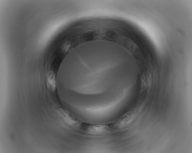 X0000112100479200908181329