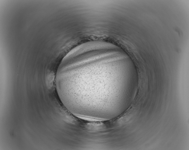 X0000112100480200908181329