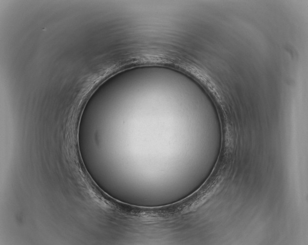 X0000112100481200908181329