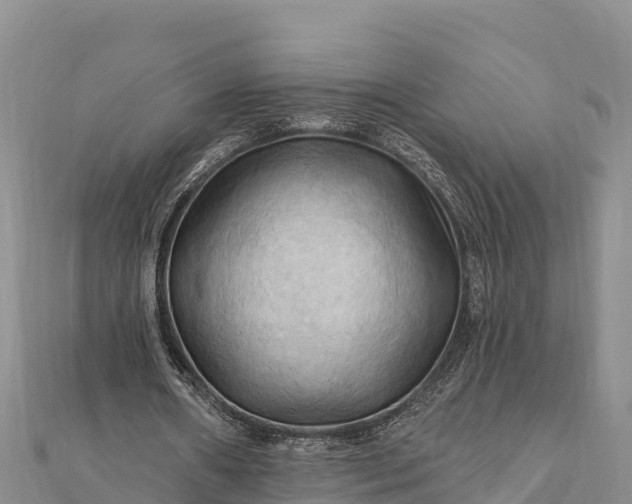 X0000112100482200908181329