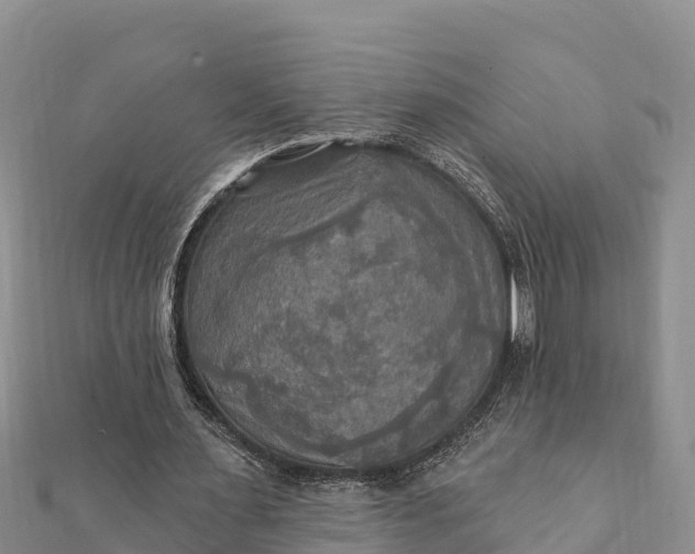 X0000112100483200908181329