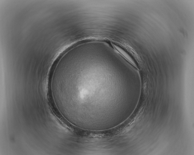 X0000112100484200908181329