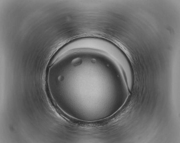 X0000112100485200908181329