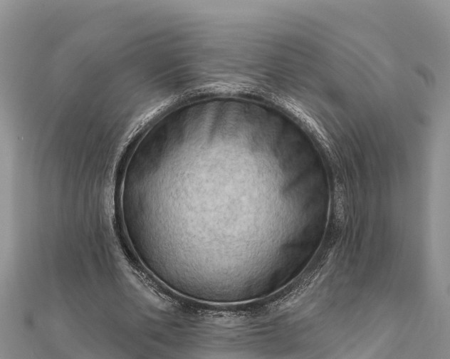 X0000112100486200908181329