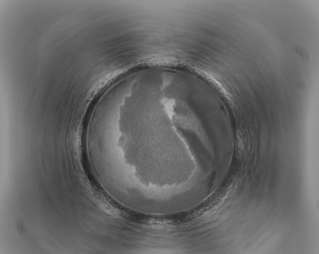 X0000112100487200908181329