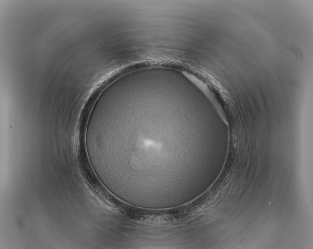 X0000112100488200908181329