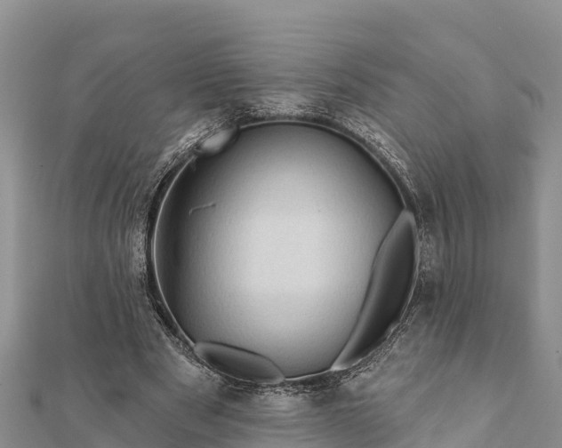 X0000112100489200908181329