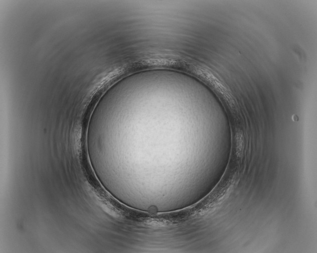 X0000112100490200908181329