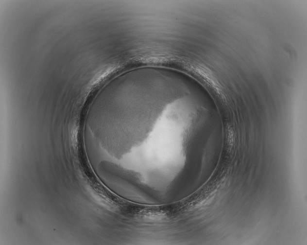 X0000112100491200908181329