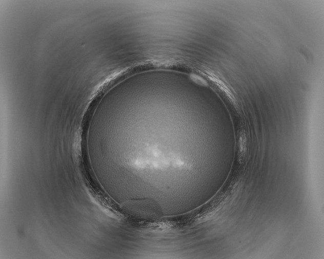 X0000112100492200908181329