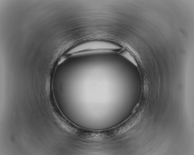 X0000112100493200908181328