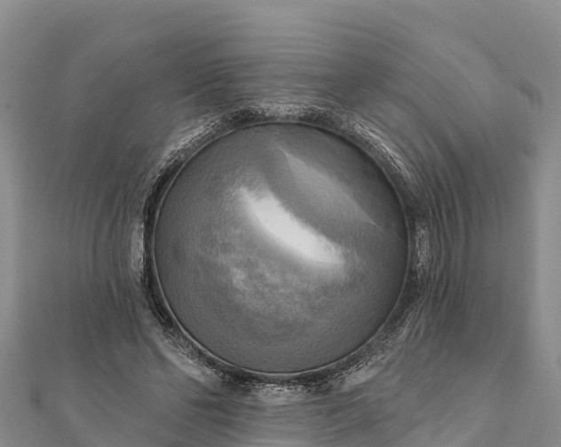 X0000112100494200908181328