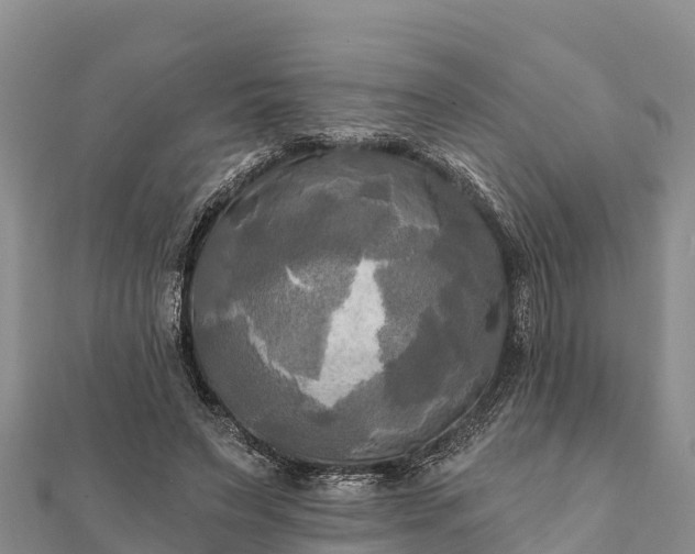 X0000112100495200908181328