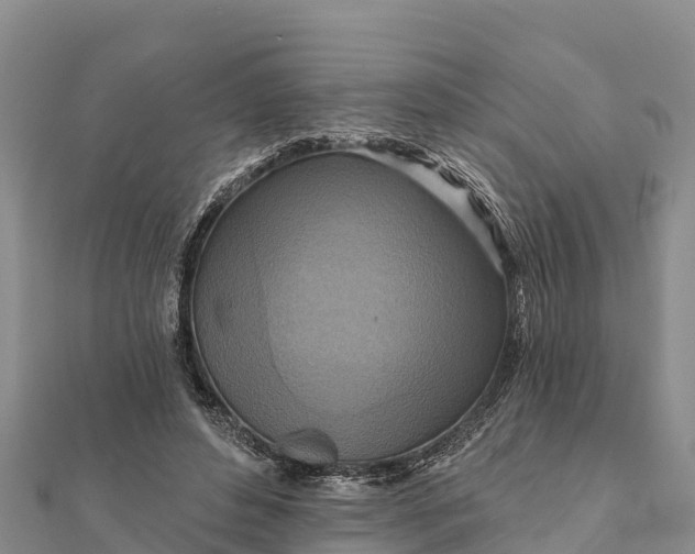 X0000112100496200908181328