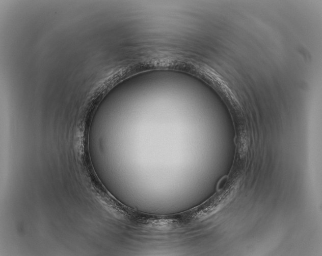 X0000112100497200908181328