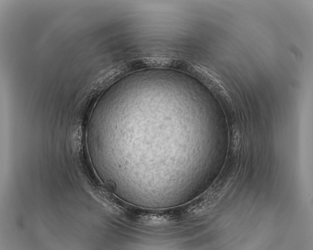 X0000112100498200908181328