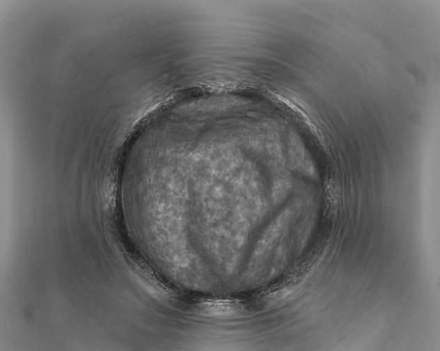 X0000112100499200908181328