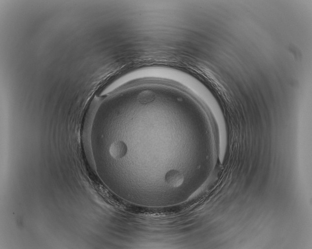 X0000112100500200908181328