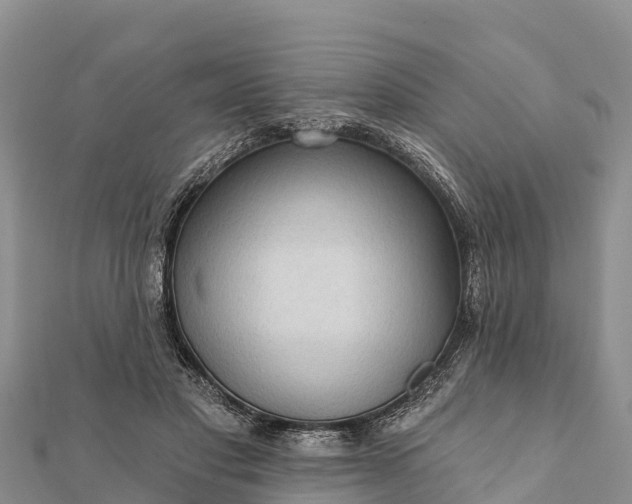 X0000112100501200908181328