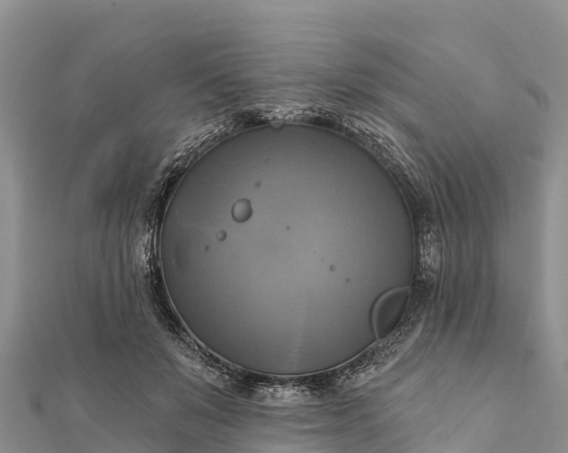 X0000112100503200908181328