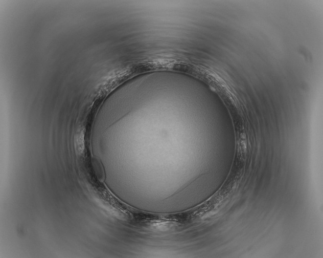 X0000112100504200908181328