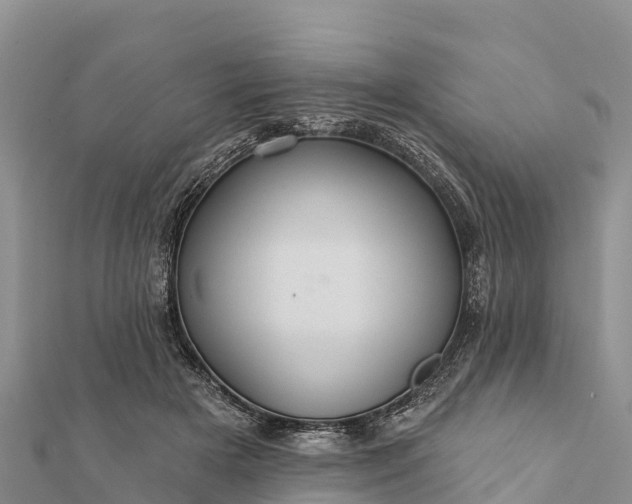 X0000112100505200908181328