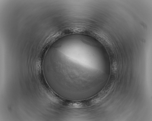 X0000112100506200908181328