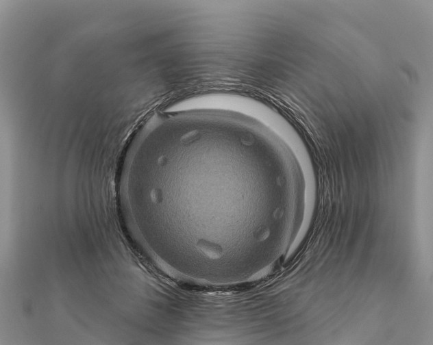 X0000112100508200908181328