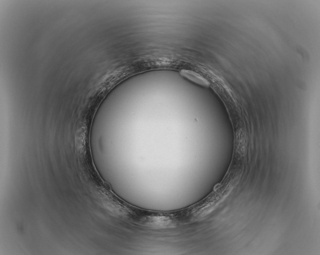 X0000112100509200908181328