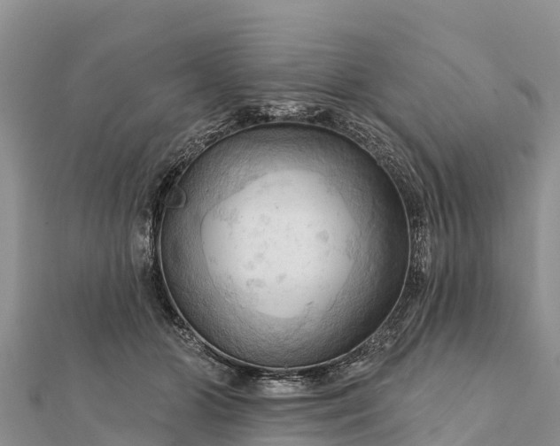 X0000112100510200908181328