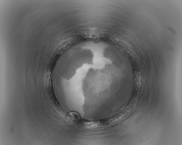 X0000112100511200908181328