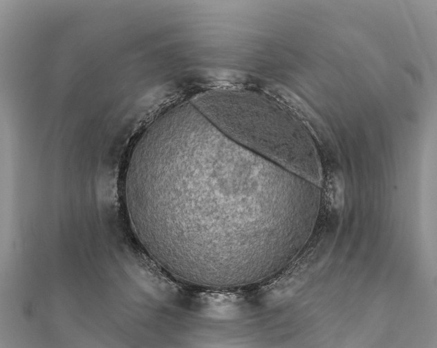 X0000112100512200908181328