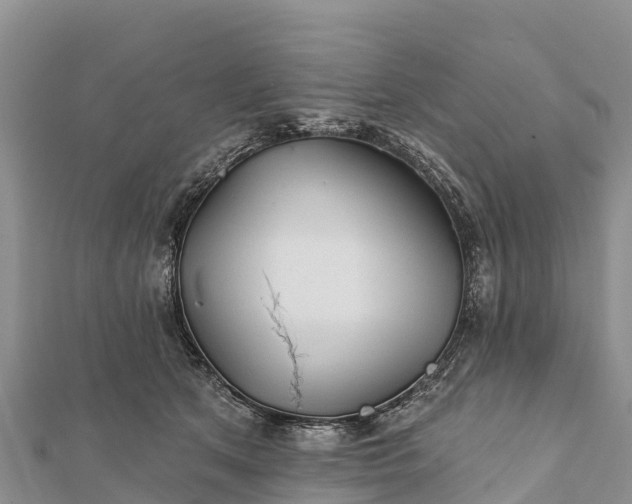 X0000112100513200908181328