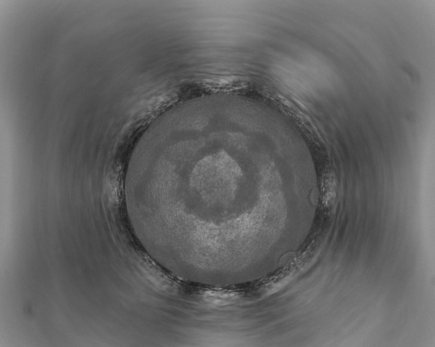 X0000112100515200908181328