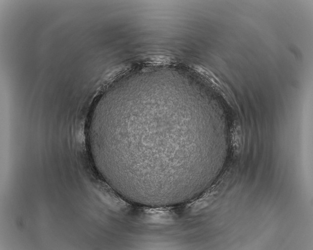 X0000112100516200908181328