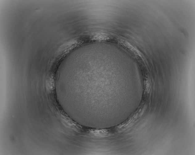 X0000112100517200908181328