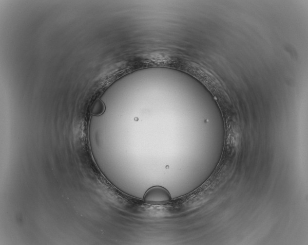 X0000112100518200908181328