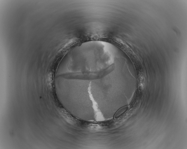 X0000112100519200908181328