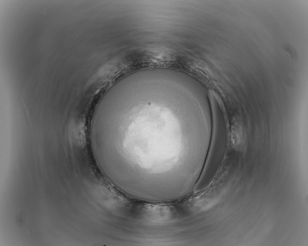 X0000112100520200908181328