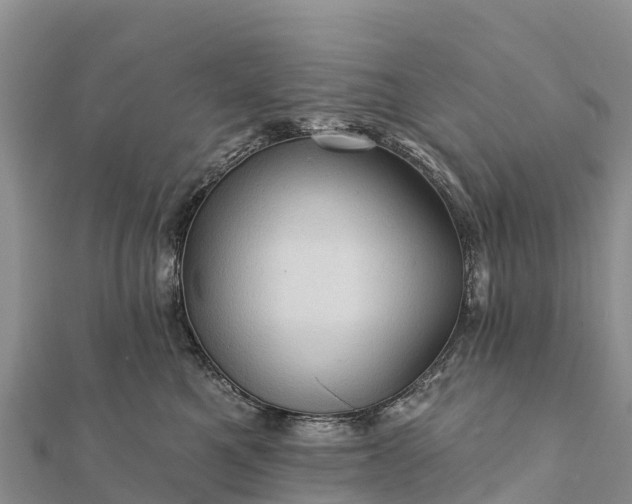 X0000112100521200908181328