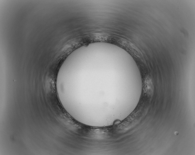 X0000112100522200908181328