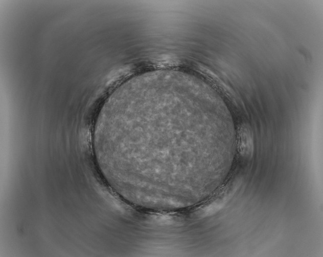 X0000112100523200908181328