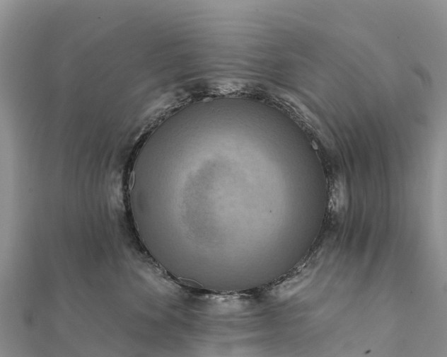 X0000112100524200908181328