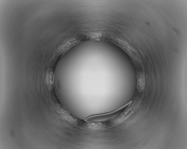 X0000112100525200908181328