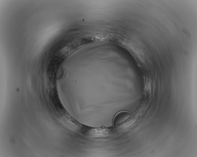 X0000112100526200908181328