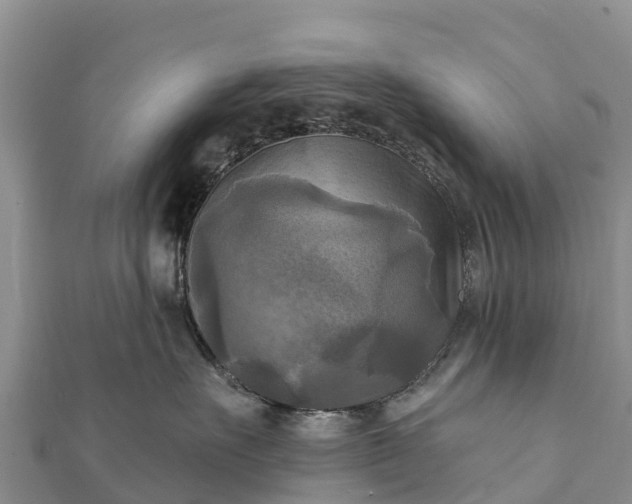 X0000112100527200908181328