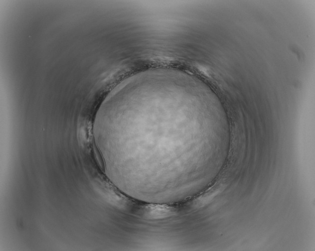 X0000112100528200908181328